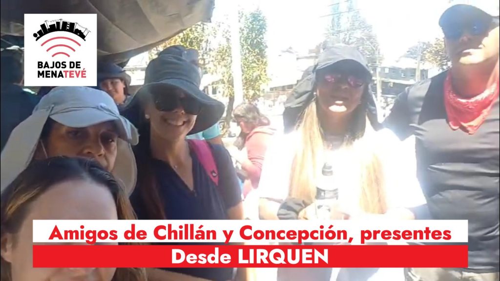 Miniatura-23.-LIRQUEN-muchos amigos